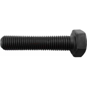 FORMAT 71181000 Patlatma Pançı için Civata 1 12.9 M10x1,0x50 Pullu